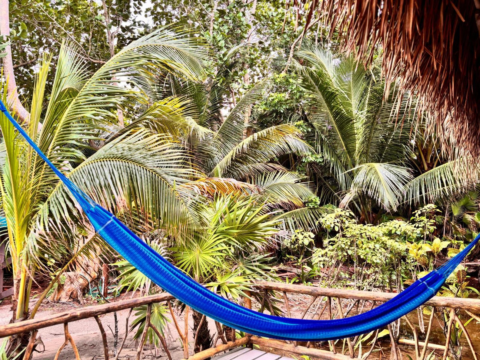 Azure Del Mar Hotell Maya Beach Eksteriør bilde